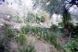 User Profile: gardeniascout27