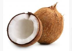User Profile: lightCoconut9296