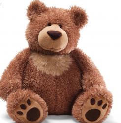 User Profile: TeddyTheGreat