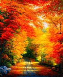 User Profile: TheSeasonThatFalls