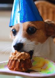 User Profile: Daisythedog