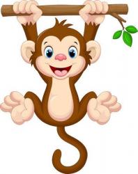 User Profile: Monkey03