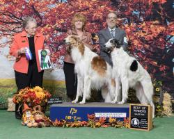 User Profile: yellowWillow1881