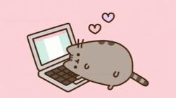 User Profile: ACatOnALaptop