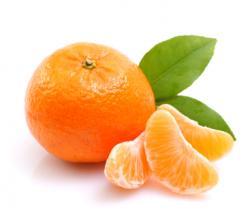 User Profile: energeticClementine9358