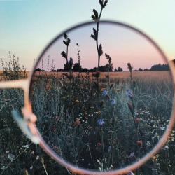 User Profile: romanianshipper