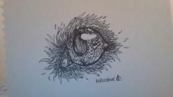 User Profile: kokosdraws