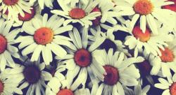 User Profile: Simplykkjj