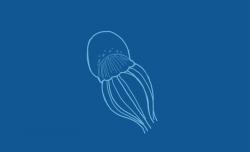 User Profile: aStranger