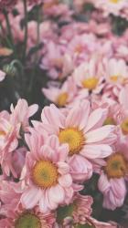 User Profile: neverland89