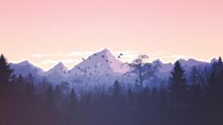 User Profile: CoffeeStainsAndChaos