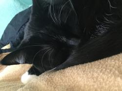 User Profile: MysterySpirit