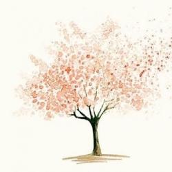 User Profile: brightMelon7624