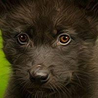 User Profile: blueSpring1187
