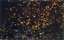User Profile: SeaOfFireflies