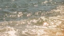 User Profile: alexinthewater
