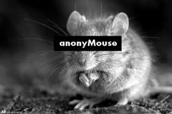User Profile: AnonyMouse4Now