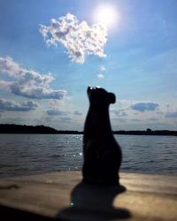 User Profile: KingMoon