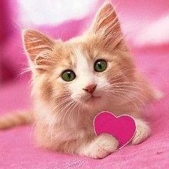User Profile: Greeneyes786