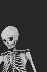 User Profile: spiderrsilk