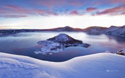 User Profile: Sanddorn