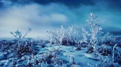 User Profile: Horrorfrost