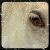 User Profile: Lesley152