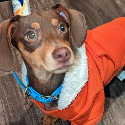 User Profile: generousEyes9755