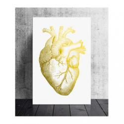User Profile: ShatteredHeartOfGold
