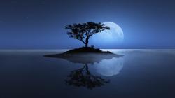 User Profile: Quietone8717