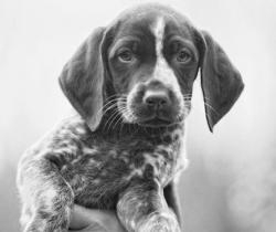 User Profile: milkjpeg