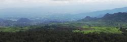 User Profile: greenscenes