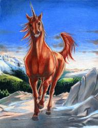 User Profile: Applehorse