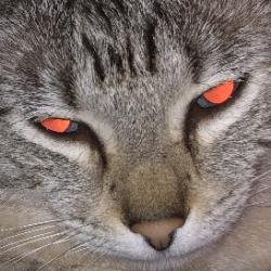 User Profile: nicole01234