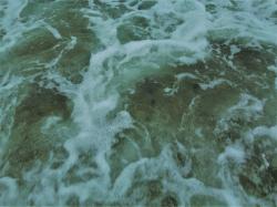 User Profile: oceansocean