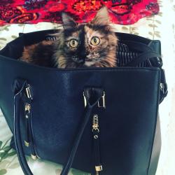 User Profile: LuckyLilah