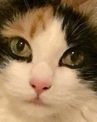 User Profile: IloveTea