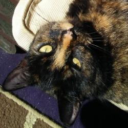 User Profile: 37bones