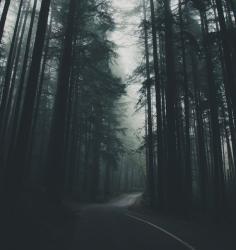 User Profile: lavenderoses412