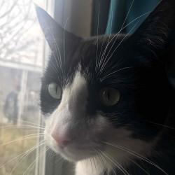 User Profile: calmWillow5266