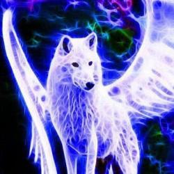 User Profile: LAngel