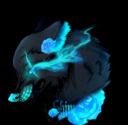 User Profile: Midnightwolf101