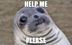 User Profile: helpme2001