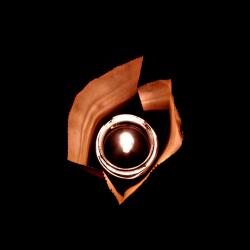 User Profile: passionateCup9407