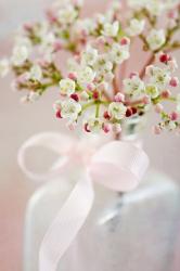 User Profile: wallflower000