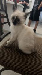 User Profile: pastelwildflower