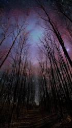 User Profile: scarsanddriftwoodhearts