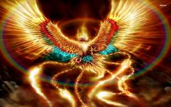 User Profile: Firestarbird
