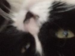 User Profile: IndecisiveClementine186