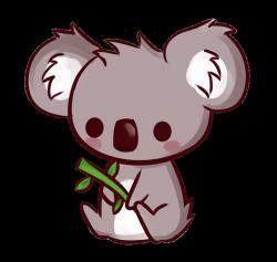 User Profile: kindheartedKoala98
